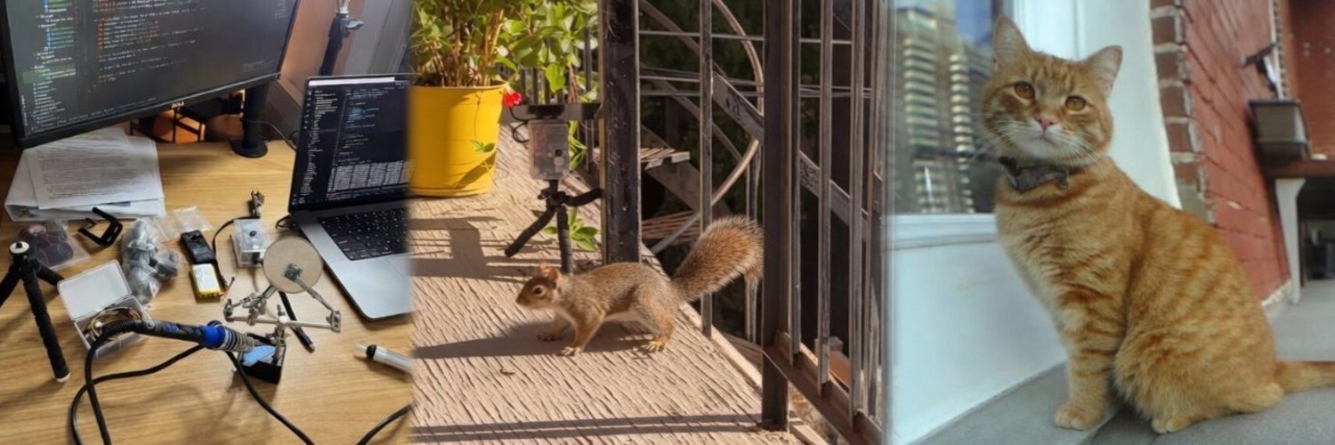 BalconyPatrol — dev workbench, squirrel visitor on the balcony, and the household cat at the window